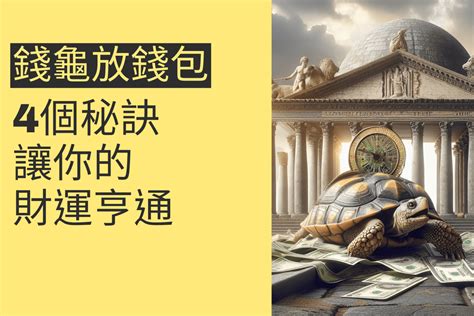 錢龜擺放位置|錢龜怎麼放？財運亨通的擺放學問